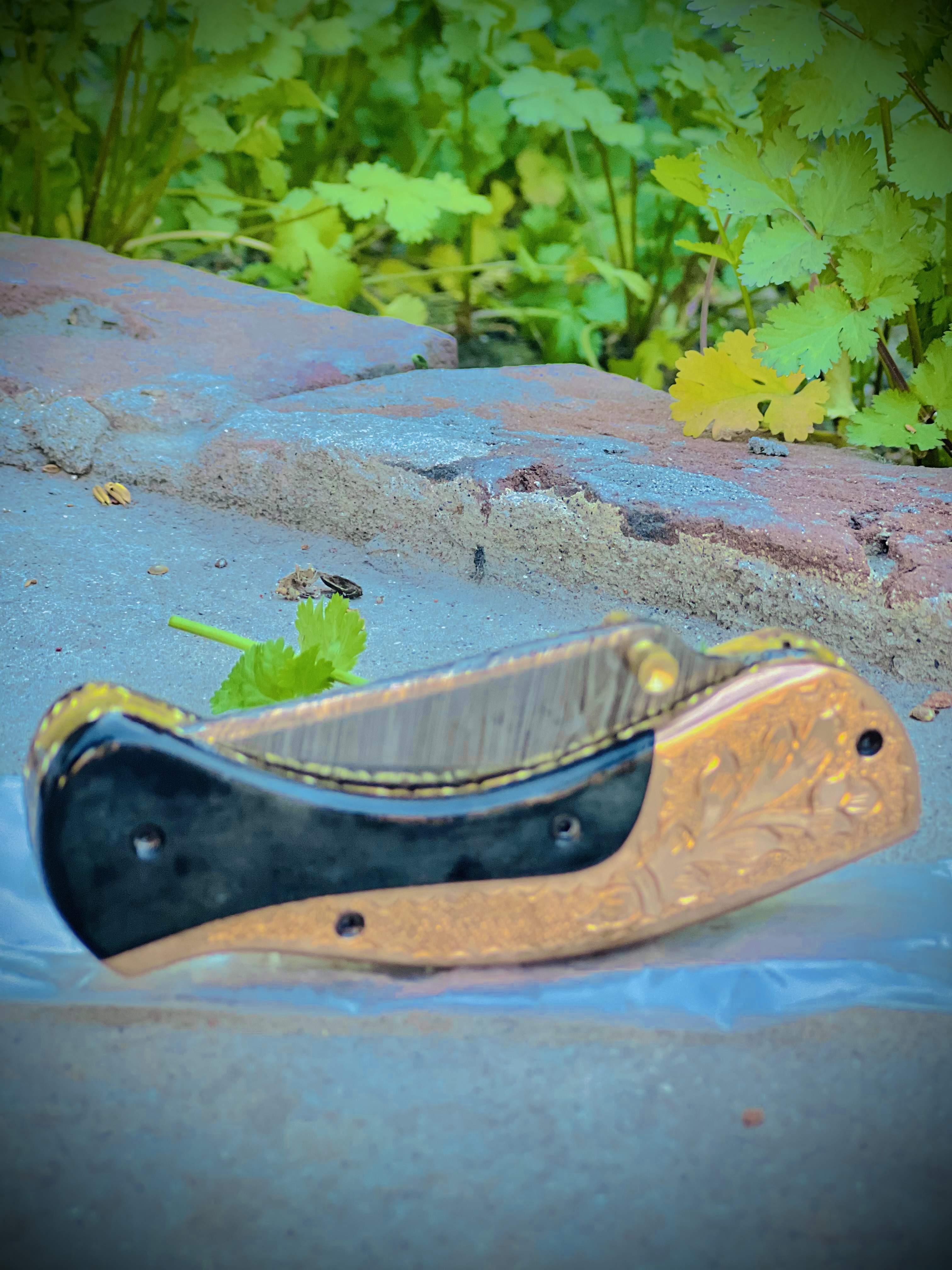Luxury Damascus Pocket Knife - Black Horn & Copper - Hand Engraved Bolster
